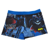Boxer Baño Niño Azul Batman y Robin DC