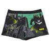 Boxer Baño Niño Verde Batman y Robin DC