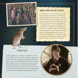 Harry Potter Criaturas Mágicas. Un Álbum de las Películas