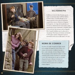 Harry Potter Criaturas Mágicas. Un Álbum de las Películas