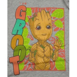 Conjunto Niño Gris I Am Groot Marvel