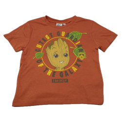 Camiseta Niño Roja I Am Groot Marvel