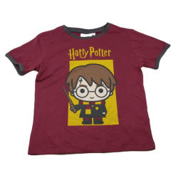 Camiseta Niño Burdeos Harry...