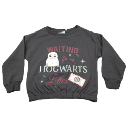 Sudadera y Pantalón Niña Gris Hogwarts Harry Potter