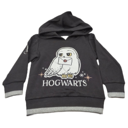 Sudadera Niño Gris Hogwarts Harry Potter