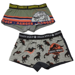 Pack 2 Boxer Niño Gris y Verde Jurassic World