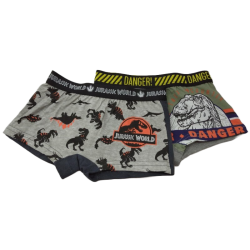 Pack 2 Boxer Niño Gris y Verde Jurassic World