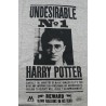 Camiseta Undesirable Nº1 Harry Potter