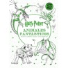 Harry Potter Animales Fantásticos Mini Libro Para Colorear