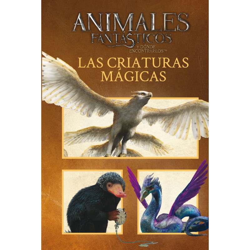 Animales Fantásticos Las Criaturas Mágicas