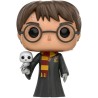 Figura POP Harry Potter con hedwig Harry Potter