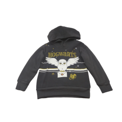 Sudadera Capucha Niño Gris Hogwarts Harry Potter