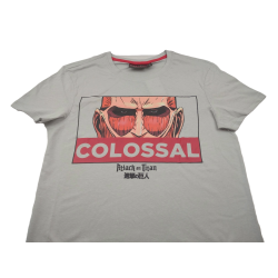Camiseta Gris Colossal...