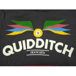 Sudadera Capucha Niño Gris Quidditch Harry Potter