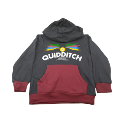 Sudadera Capucha Niño Gris Quidditch Harry Potter