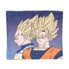 Braga de Cuello Infantil Coralina Goku y Vegeta Dragon Ball Z